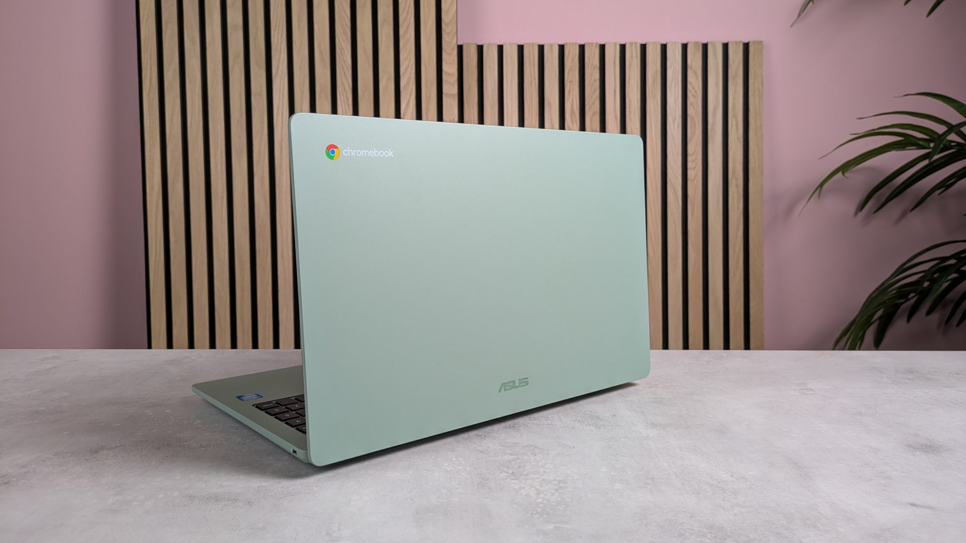 Обзор Asus Chromebook CX1505: бюджетник с одним поразительным аспектом картинка Обзор Asus Chromebook CX1505: бюджетник с одним поразительным аспектом