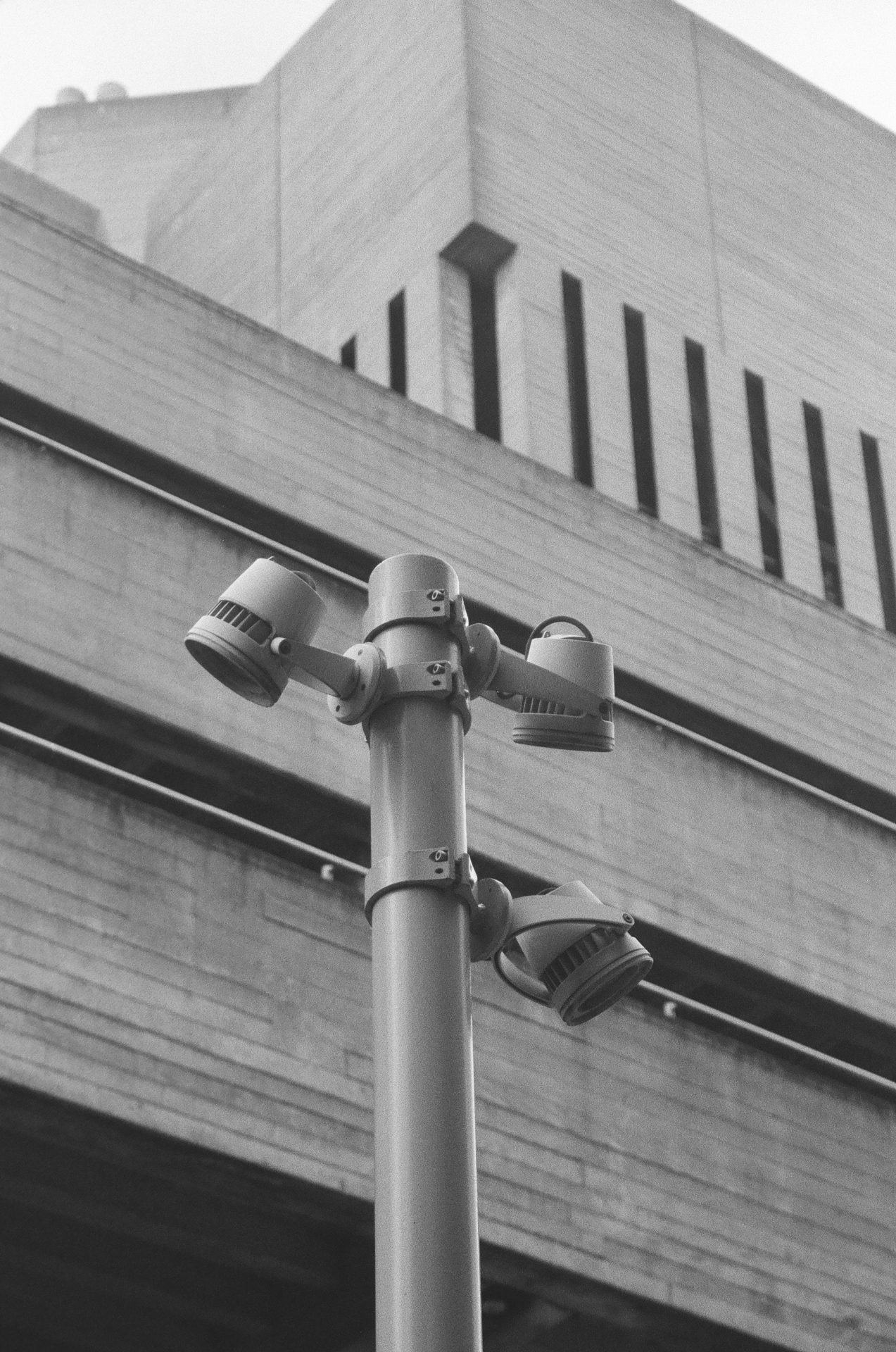 Обзор Kentmere Pan 200 — бюджетная чёрно-белая плёнка картинка Kentmere Pan 200