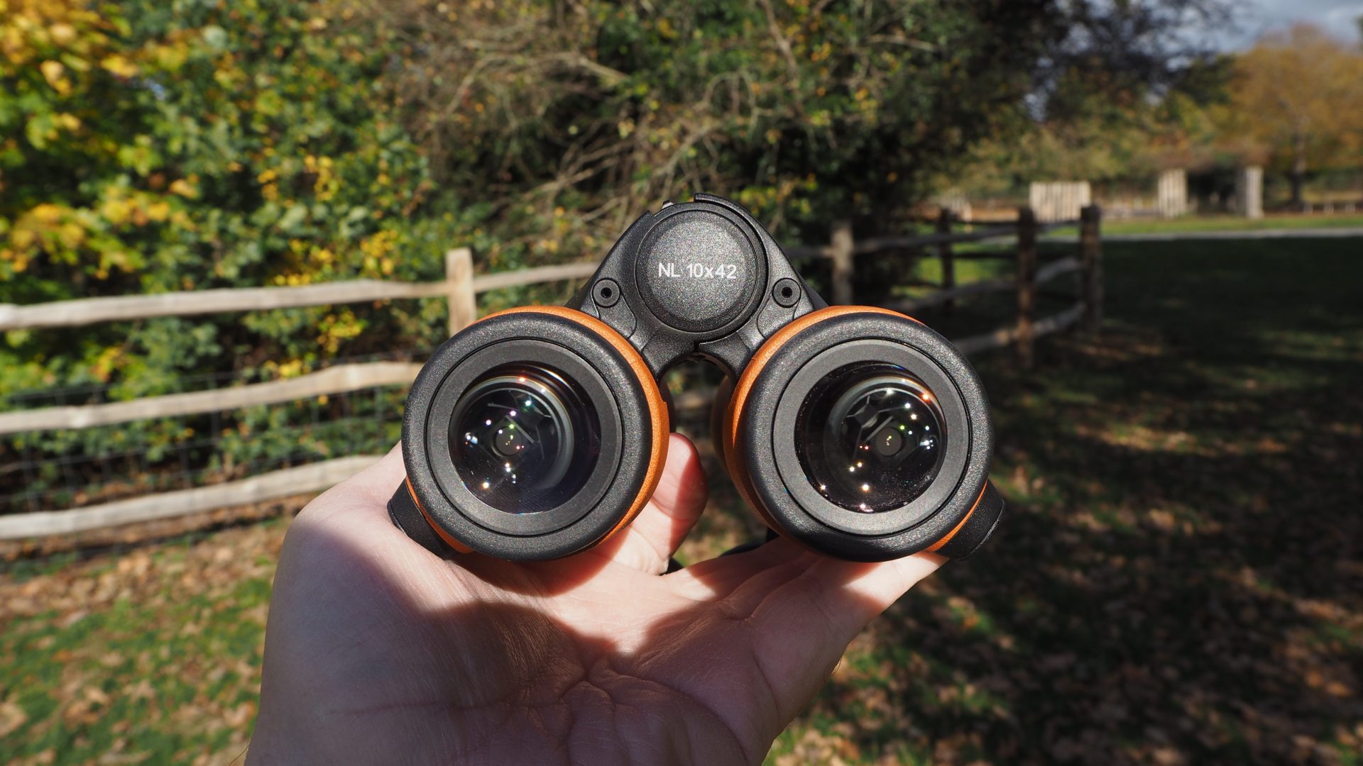 Swarovski NL Pure 10x42