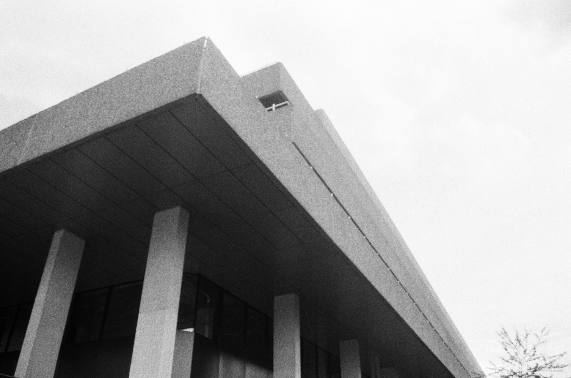 Обзор Kentmere Pan 200 — бюджетная чёрно-белая плёнка картинка Kentmere Pan 200