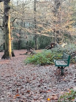 Обзор Samsung Galaxy Tab A9+ — отличный бюджетный планшет фото