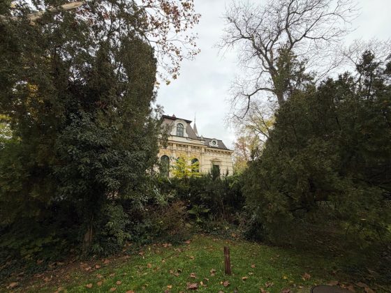 OnePlus 15 против iPhone 17 Pro Max