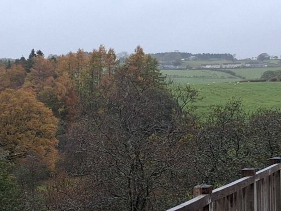 Samsung Galaxy A17 5G