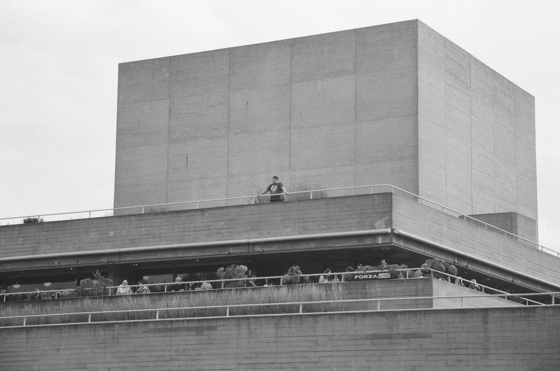 Обзор Kentmere Pan 200 — бюджетная чёрно-белая плёнка картинка Kentmere Pan 200