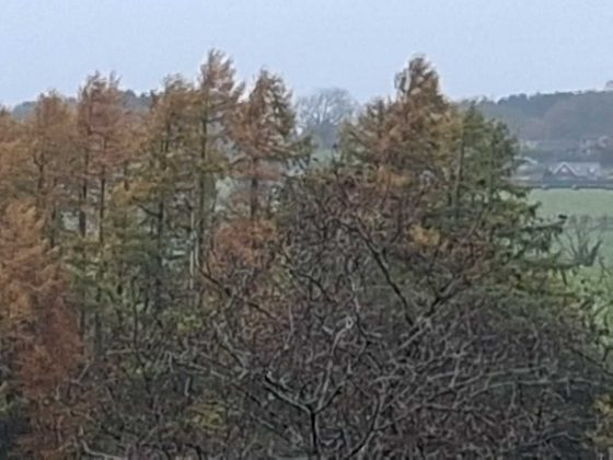 Samsung Galaxy A17 5G