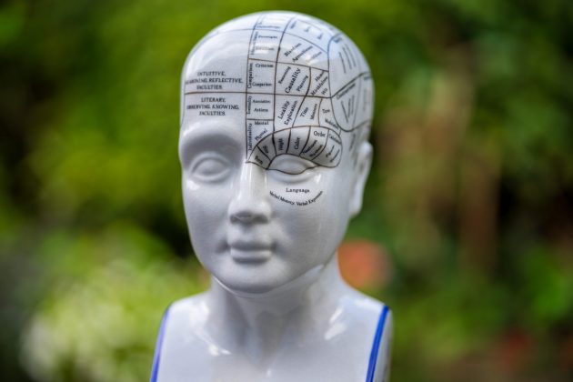 Обзор Viltrox AF 85mm f/2.0 Evo — портретник для Nikon фото