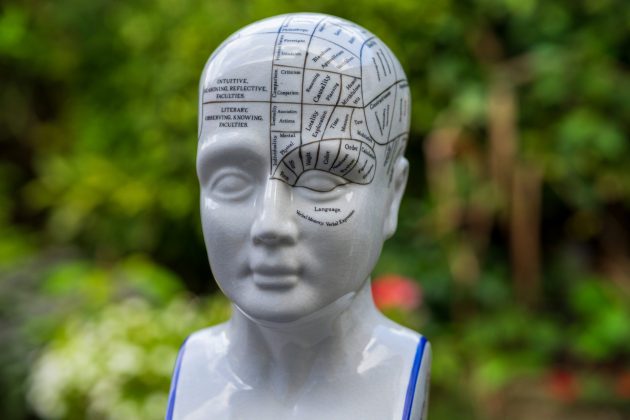 Обзор Viltrox AF 85mm f/2.0 Evo — портретник для Nikon фото