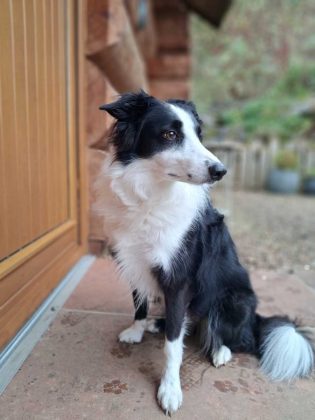 Samsung Galaxy A17 5G