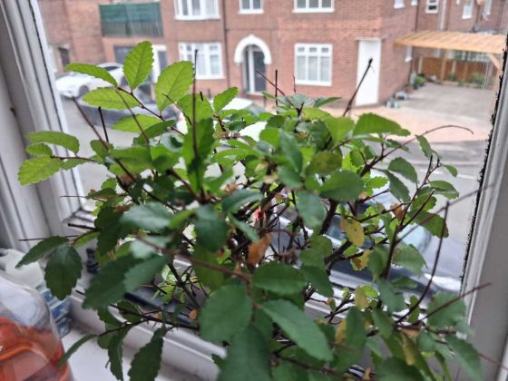 Samsung Galaxy A17 5G