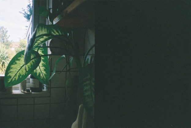 Lomography Lomourette