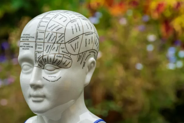 Обзор Sigma 200mm f/2 DG OS Sports — быстрый телевик