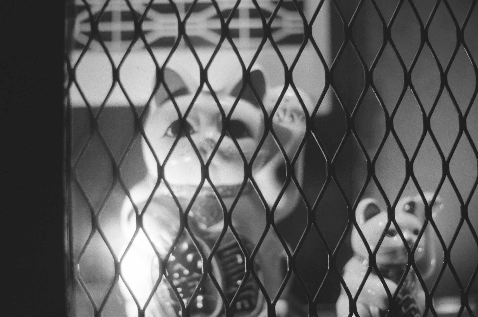 AgfaPhoto APX 400 — мягкая чёрно-белая плёнка для эстетов