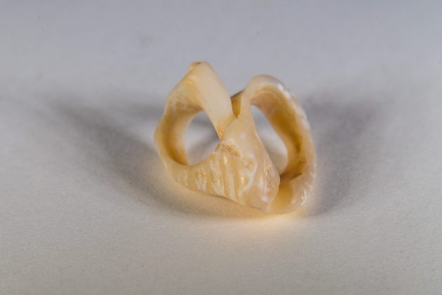 Аксессуар Meike MK: доступный апгрейд для макросъёмки