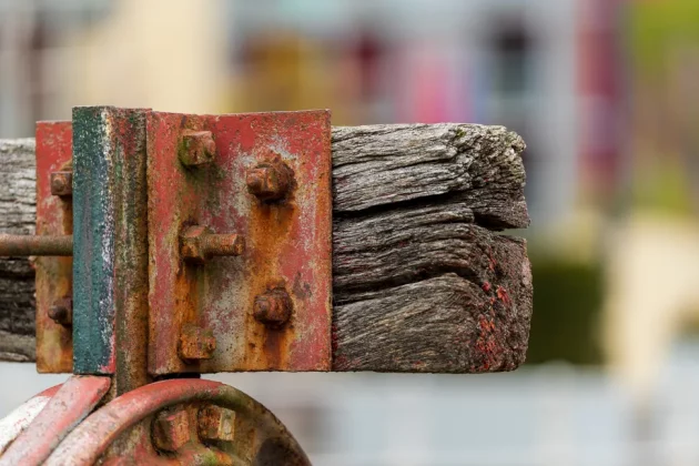 Обзор Sigma 200mm f/2 DG OS Sports — быстрый телевик