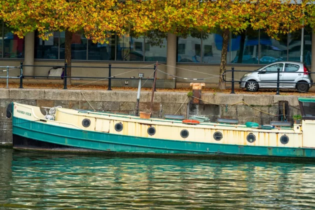 Обзор Sigma 200mm f/2 DG OS Sports — быстрый телевик