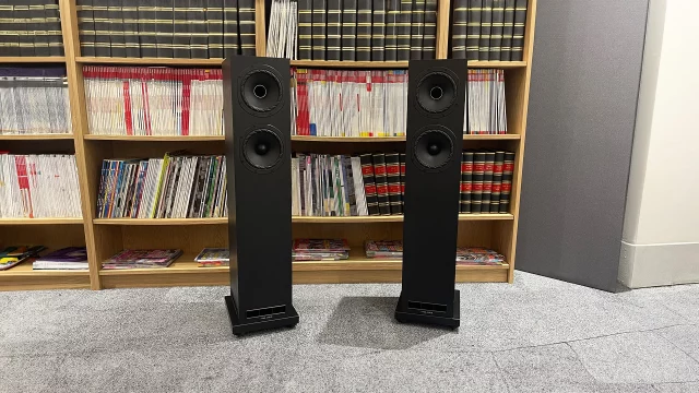 Обзор Fyne Audio F501E: впечатляющие доступные колонки