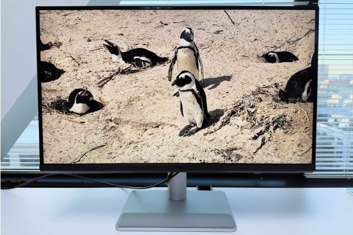 Обзор BenQ MA270UP: идеален для Mac картинка Дисплей BenQ MA270UP: глянцевый 27-дюймовый для Mac