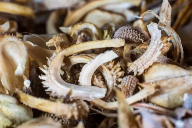 Kenko Auto Extension Tube Set DG