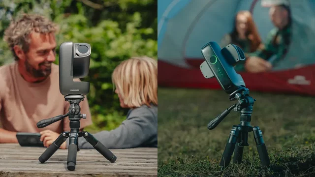 Dwarf Mini Dwarf Mini