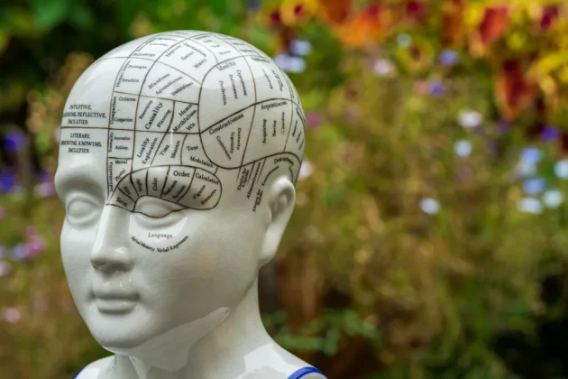 Обзор Sigma 200mm f/2 DG OS Sports — быстрый телевик