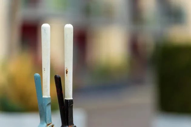 Обзор Sigma 200mm f/2 DG OS Sports — быстрый телевик