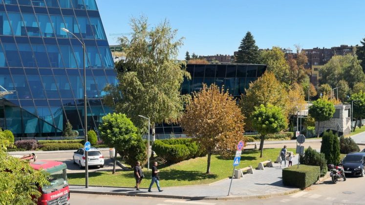 Примеры селфи: iPhone 17 Pro • iPhone 17 Pro Max