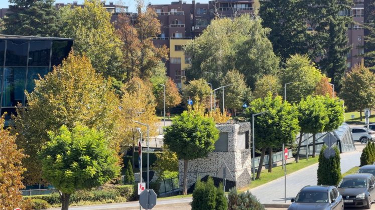 Примеры селфи: iPhone 17 Pro • iPhone 17 Pro Max