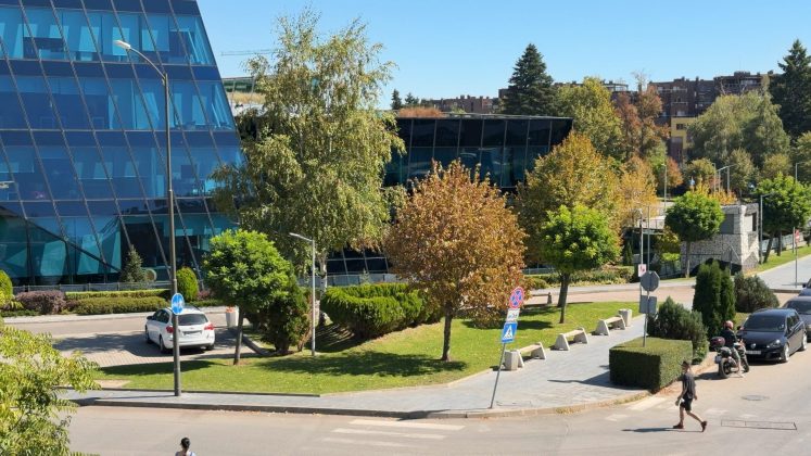 Примеры селфи: iPhone 17 Pro • iPhone 17 Pro Max