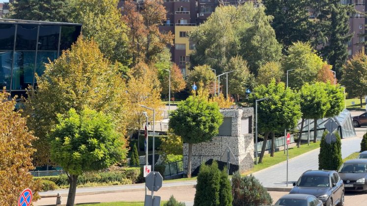 Примеры селфи: iPhone 17 Pro • iPhone 17 Pro Max