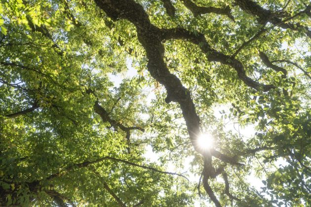 Freewell Real Locking: премиальные фильтры для вас