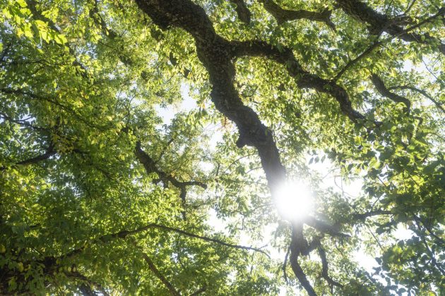 Freewell Real Locking: премиальные фильтры для вас