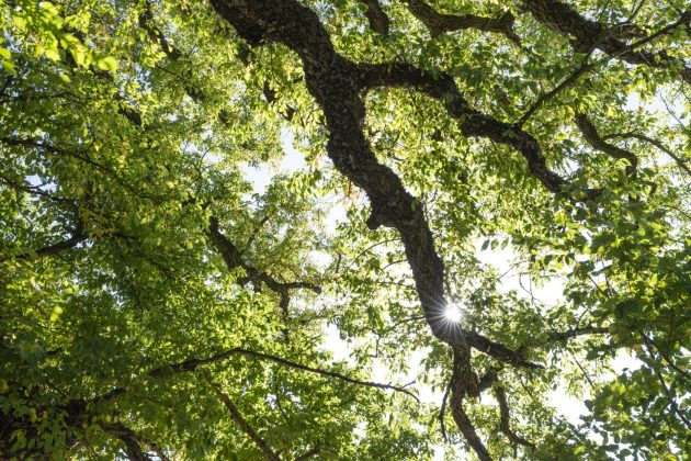 Freewell Real Locking: премиальные фильтры для вас