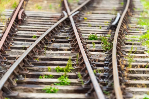 Обзор Sigma 200mm f/2 DG OS Sports — быстрый телевик