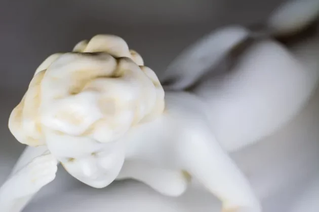 Kenko Auto Extension Tube Set DG