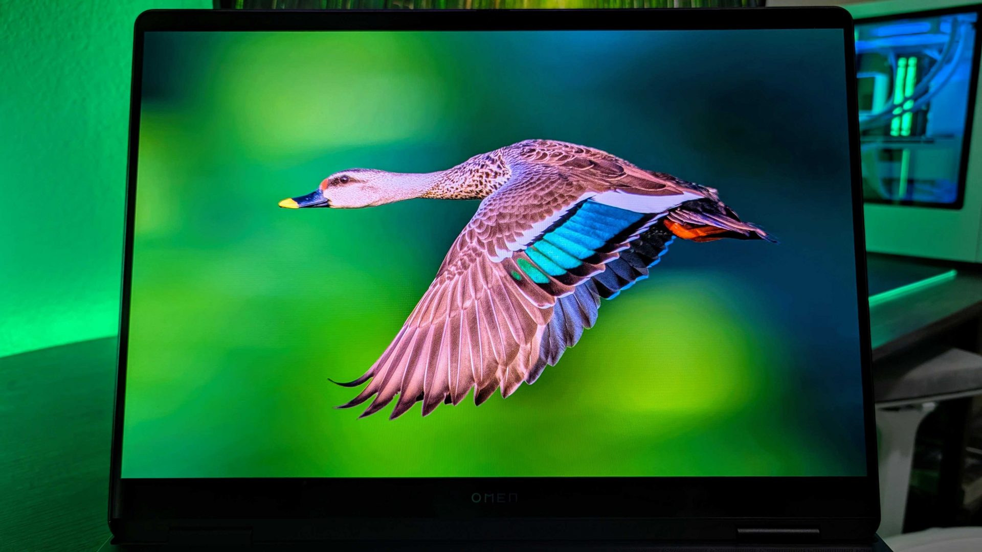 HP OMEN MAX 16 (2025): топовый игровой ноутбук