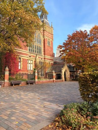 Мой переход с Android на iPhone заставил меня извиниться перед Apple. Вот почему