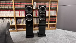 Обзор Fyne Audio F502S: башни премиум-класса