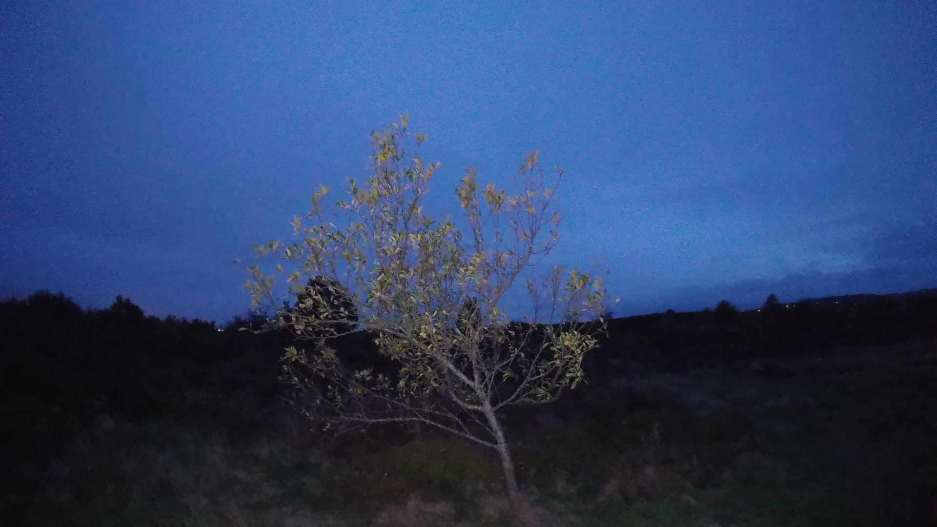 Экшн-камера GoPro Lit Hero: фонарик вместо функций