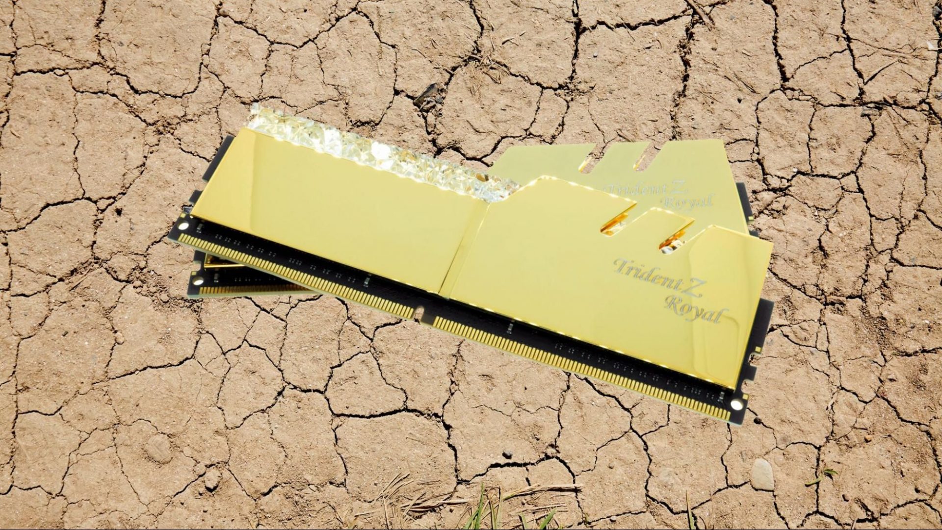 Золотые DDR5: Пять хитростей, как пережить апокалипсис цен на оперативку