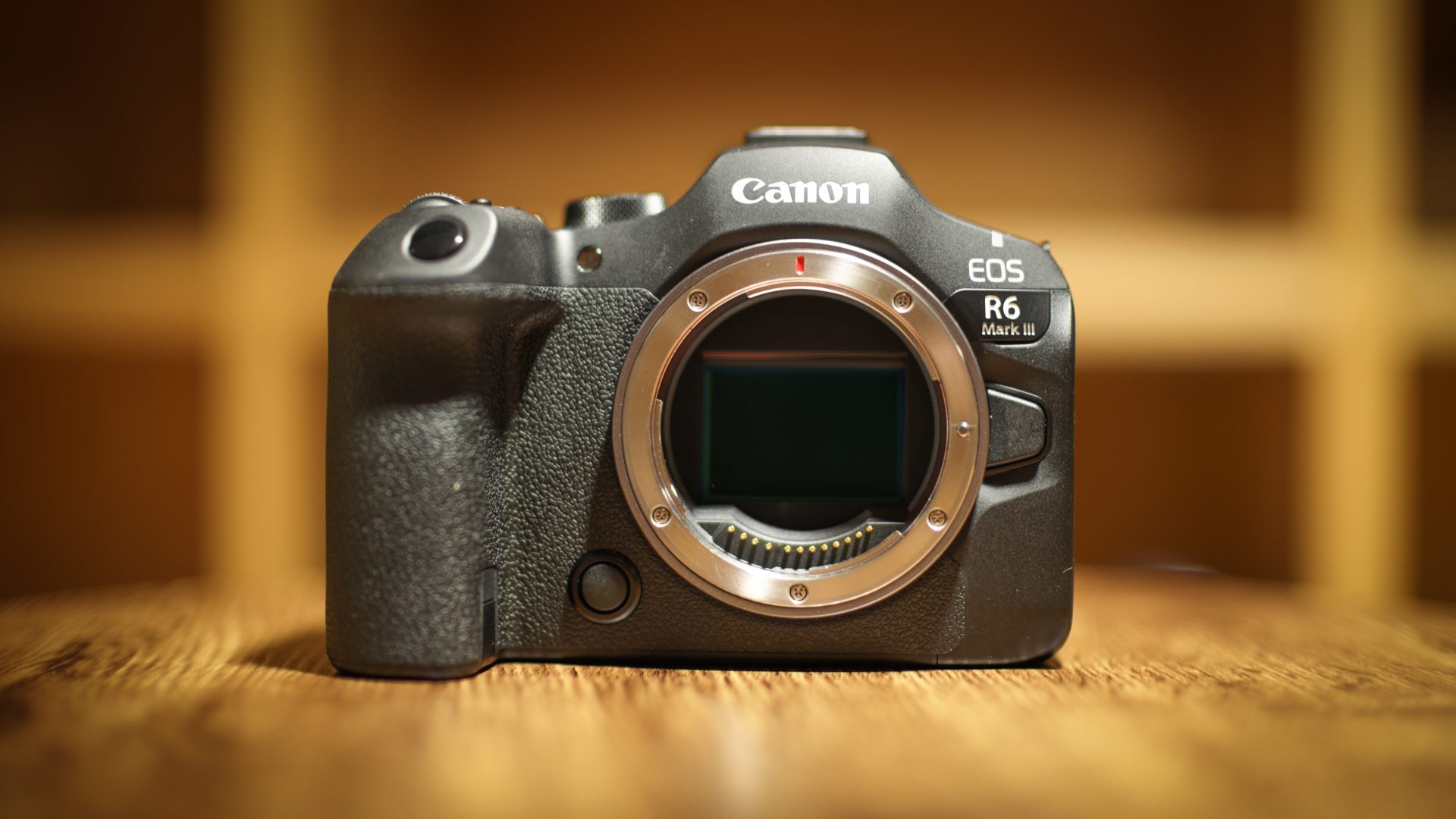 Камера Canon EOS R6 Mark III: гибрид без слабых мест