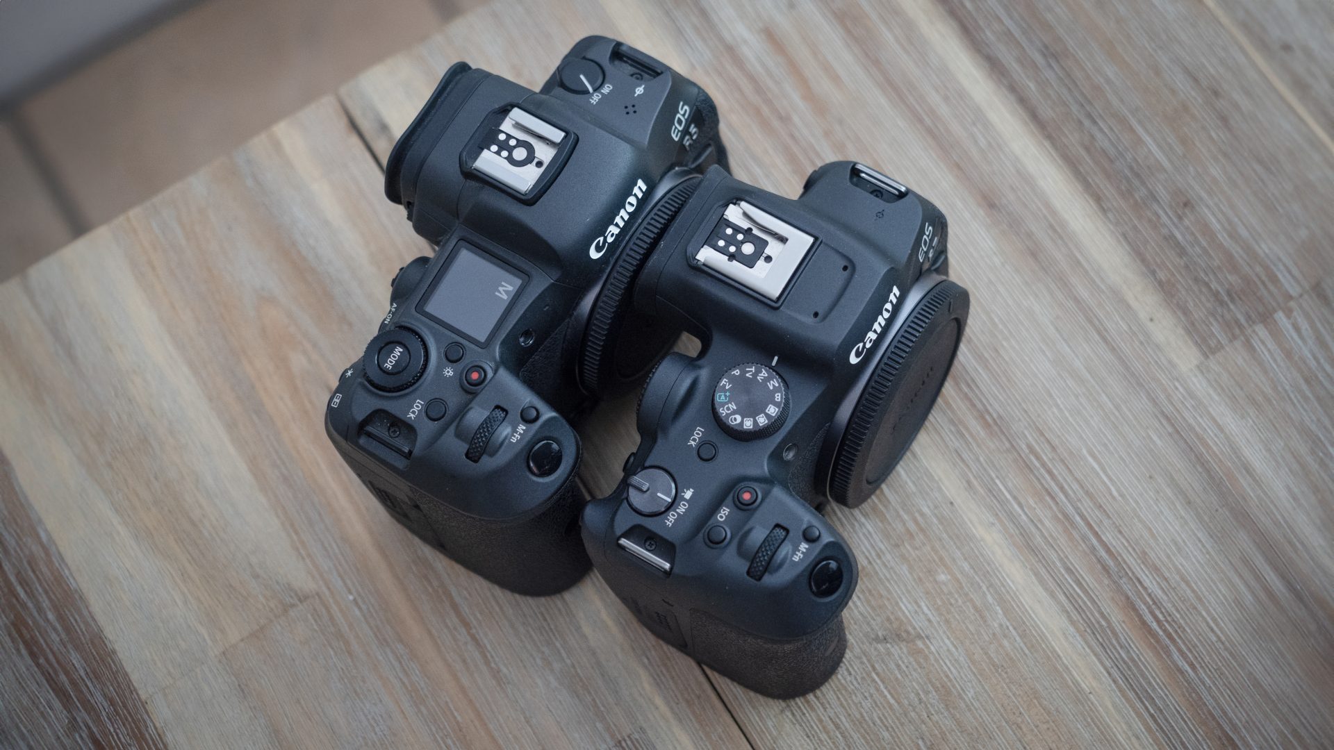 Камера Canon R7 Mark II и слухи о линейке 2025 года