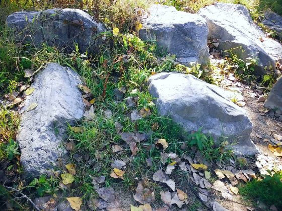 Камера Instax Mini LiPlay+ выводит печать на новый уровень