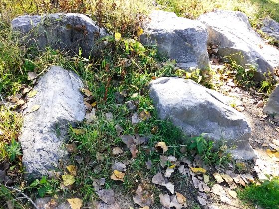 Камера Instax Mini LiPlay+ выводит печать на новый уровень