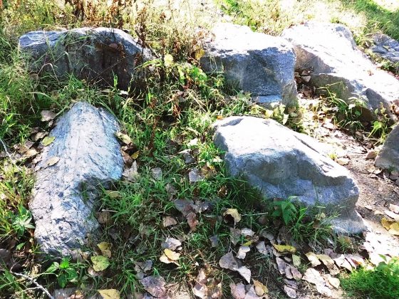 Камера Instax Mini LiPlay+ выводит печать на новый уровень