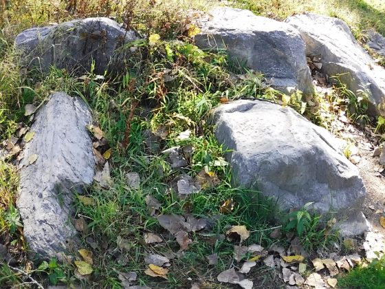 Камера Instax Mini LiPlay+ выводит печать на новый уровень