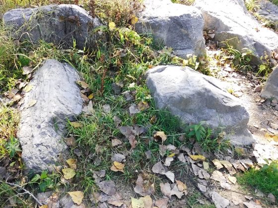 Камера Instax Mini LiPlay+ выводит печать на новый уровень