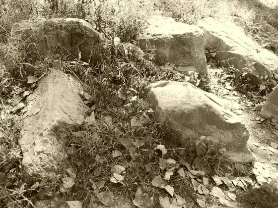 Камера Instax Mini LiPlay+ выводит печать на новый уровень