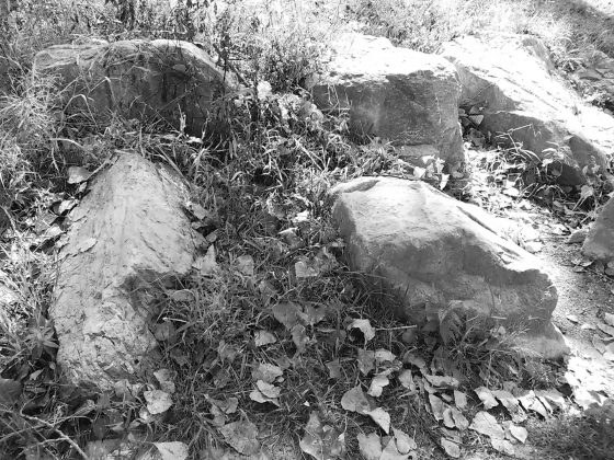 Камера Instax Mini LiPlay+ выводит печать на новый уровень