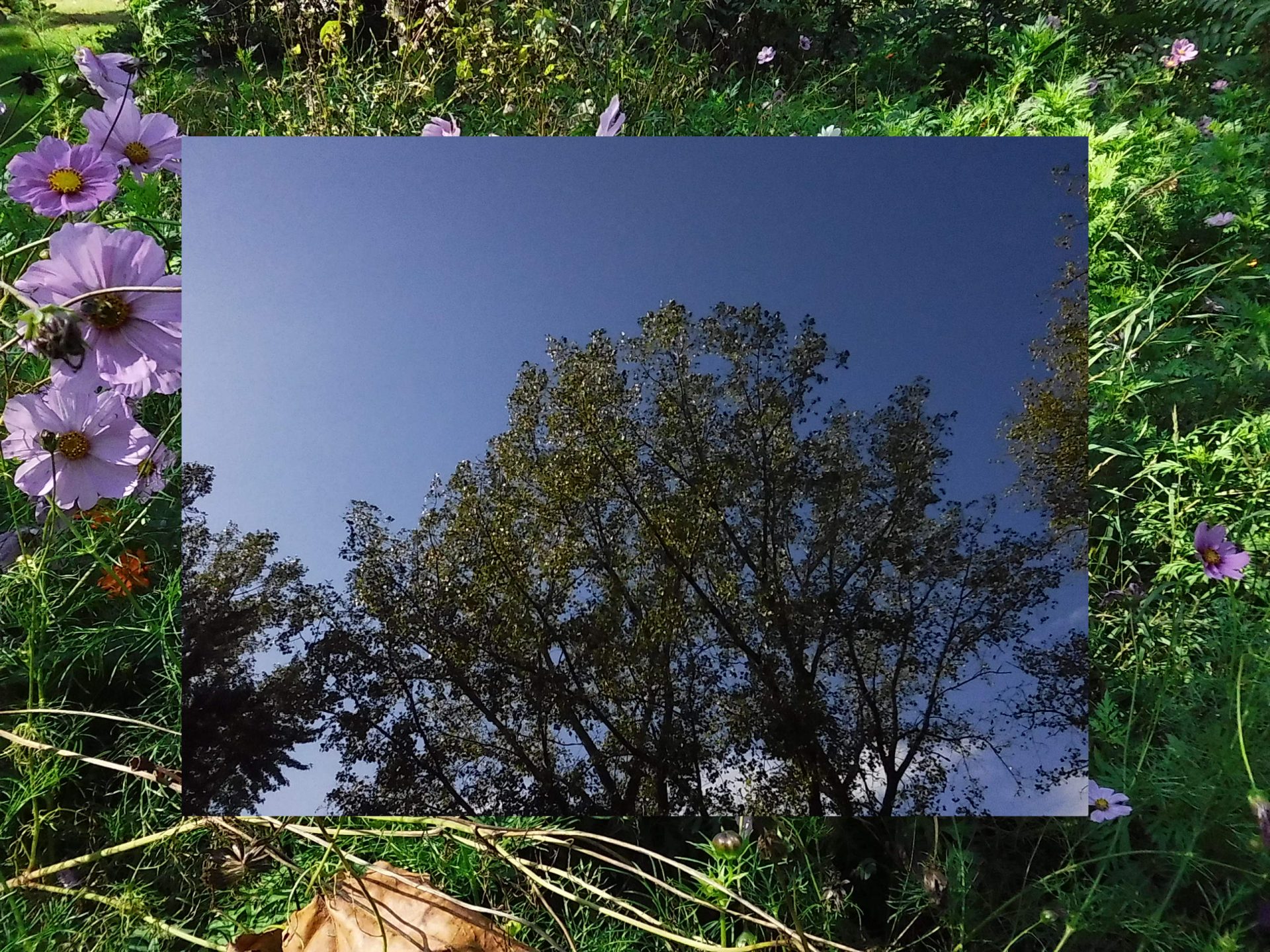 Камера Instax Mini LiPlay+ выводит печать на новый уровень