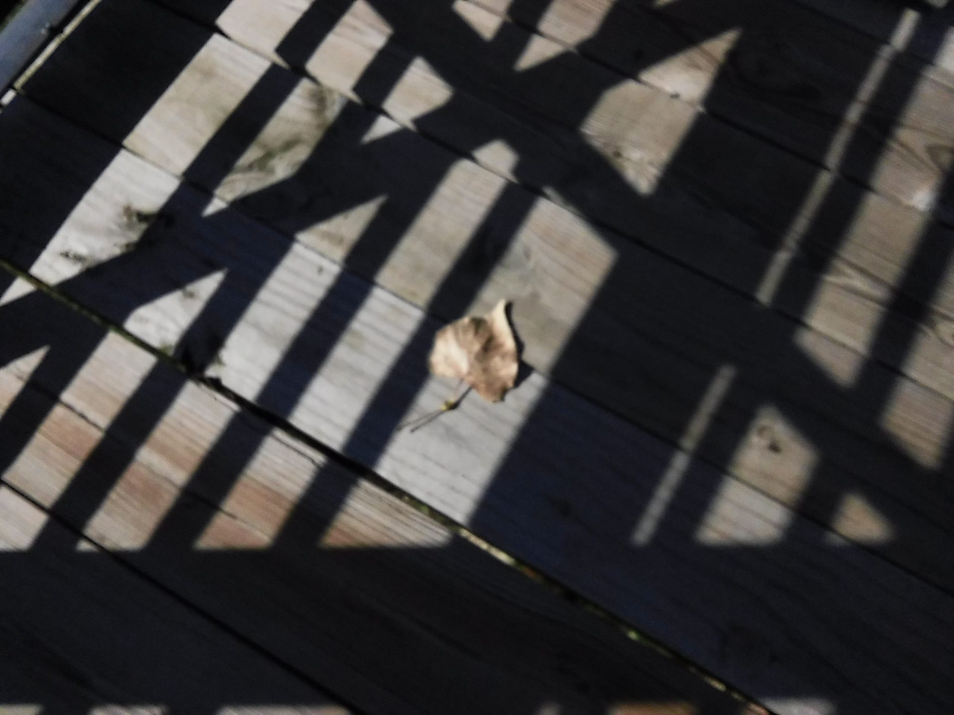 Камера Instax Mini LiPlay+ выводит печать на новый уровень